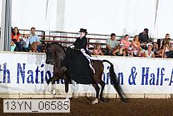 13yn_06585 thumbnail