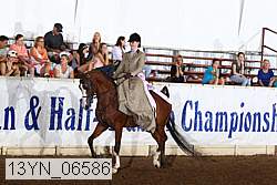 13yn_06586 thumbnail