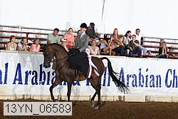 13yn_06589 thumbnail