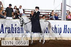 13yn_06591 thumbnail