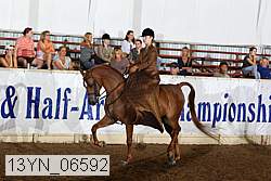 13yn_06592 thumbnail