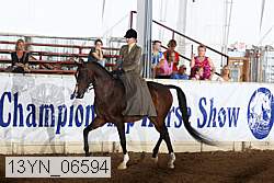 13yn_06594 thumbnail