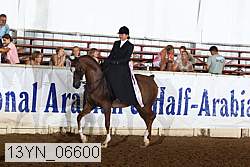 13yn_06600 thumbnail