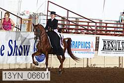 13yn_06601 thumbnail