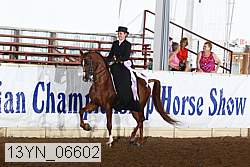 13yn_06602 thumbnail