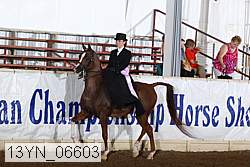 13yn_06603 thumbnail