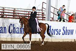 13yn_06605 thumbnail