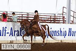 13yn_06608 thumbnail