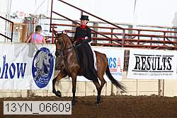 13yn_06609 thumbnail