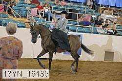 13yn_16435 thumbnail