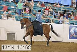 13yn_16468 thumbnail