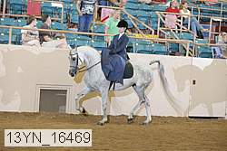 13yn_16469 thumbnail