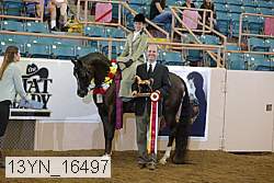 13yn_16497 thumbnail