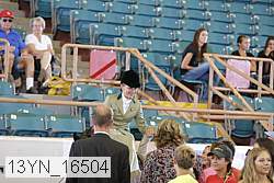 13yn_16504 thumbnail
