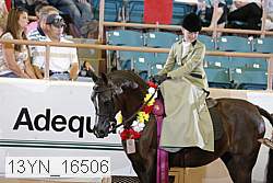 13yn_16506 thumbnail