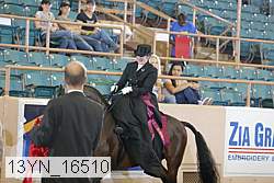 13yn_16510 thumbnail