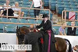13yn_16511 thumbnail