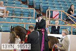 13yn_16512 thumbnail