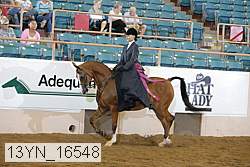 13yn_16548 thumbnail