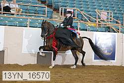 13yn_16570 thumbnail