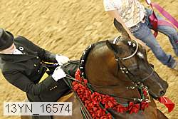 13yn_16574 thumbnail
