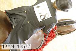 13yn_16577 thumbnail