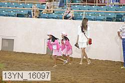 13yn_16097 thumbnail