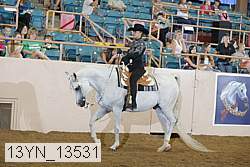 13yn_13531 thumbnail