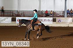 13yn_08340 thumbnail