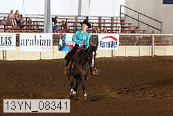 13yn_08341 thumbnail