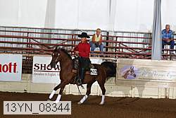 13yn_08344 thumbnail