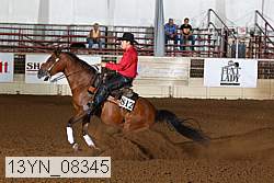 13yn_08345 thumbnail