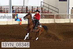 13yn_08346 thumbnail