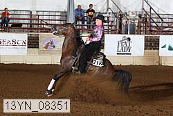 13yn_08351 thumbnail