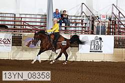 13yn_08358 thumbnail