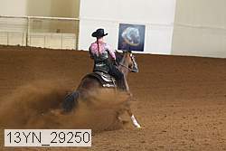 13yn_29250 thumbnail