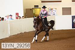 13yn_29256 thumbnail