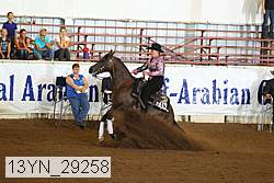 13yn_29258 thumbnail