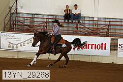 13yn_29268 thumbnail
