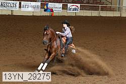 13yn_29275 thumbnail