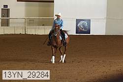 13yn_29284 thumbnail