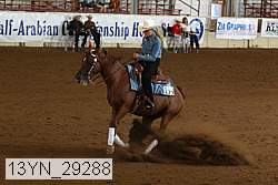 13yn_29288 thumbnail
