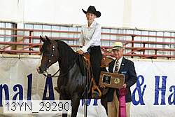 13yn_29290 thumbnail