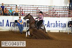 reg94978 thumbnail
