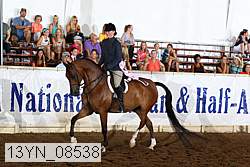 13yn_08538 thumbnail