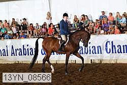 13yn_08566 thumbnail