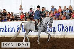 13yn_08576 thumbnail