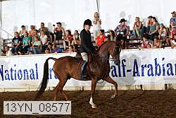 13yn_08577 thumbnail