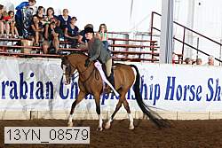 13yn_08579 thumbnail