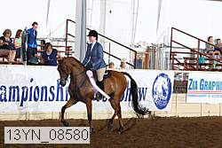 13yn_08580 thumbnail